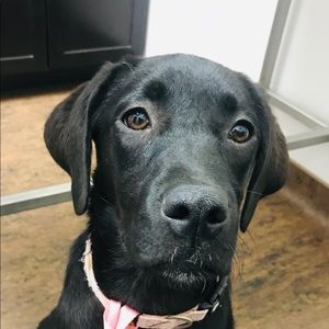 Meet your Posher, Beckie